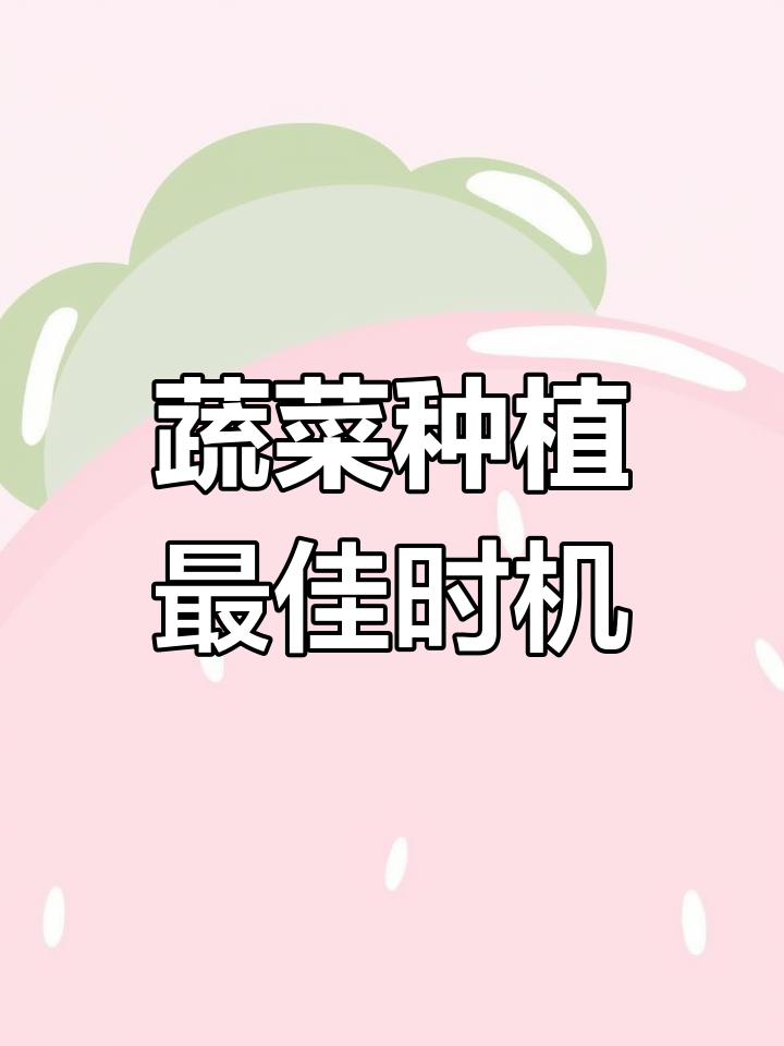 蔬菜种植时间表,适合露天与大棚