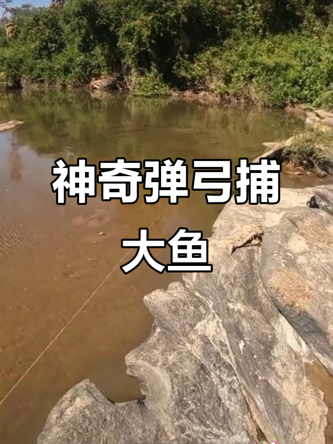 用弹弓捕鱼,精准又刺激!