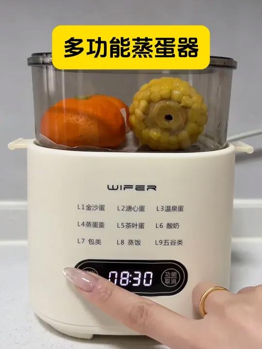 多功能蒸蛋煮蛋器全自动预约早餐机家用迷你蒸蛋器自动断电2025款