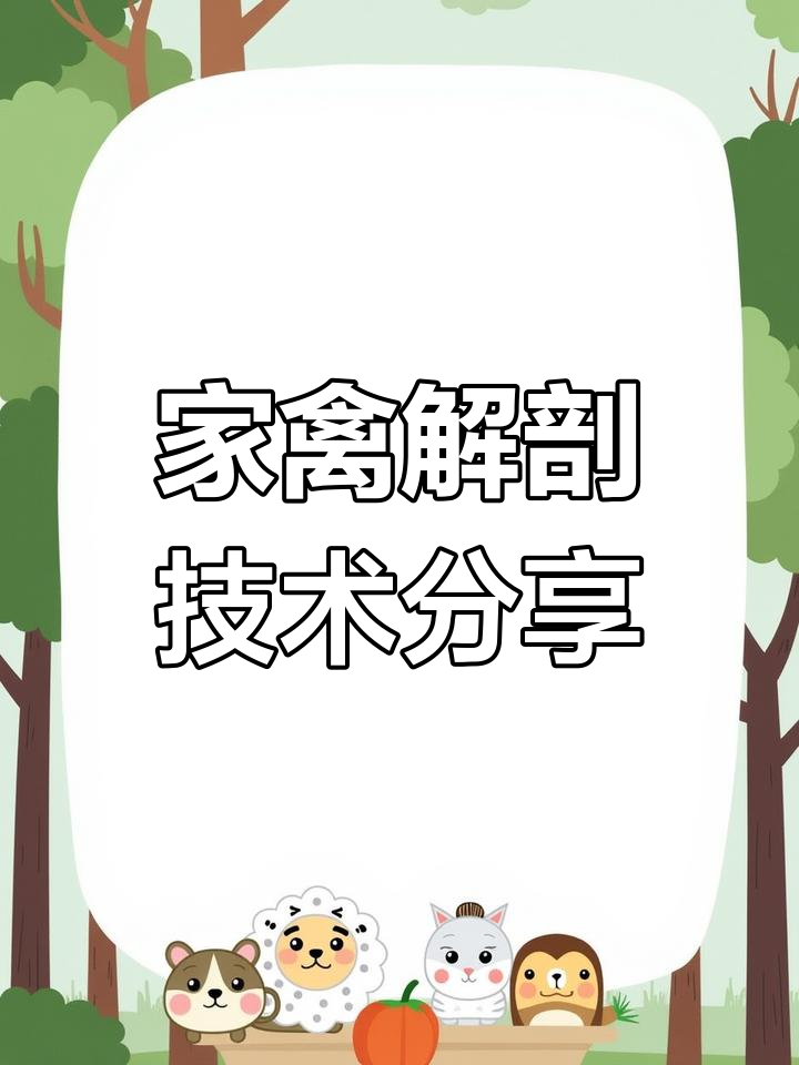 鸡鸭鹅解剖教程,轻松掌握病理分析