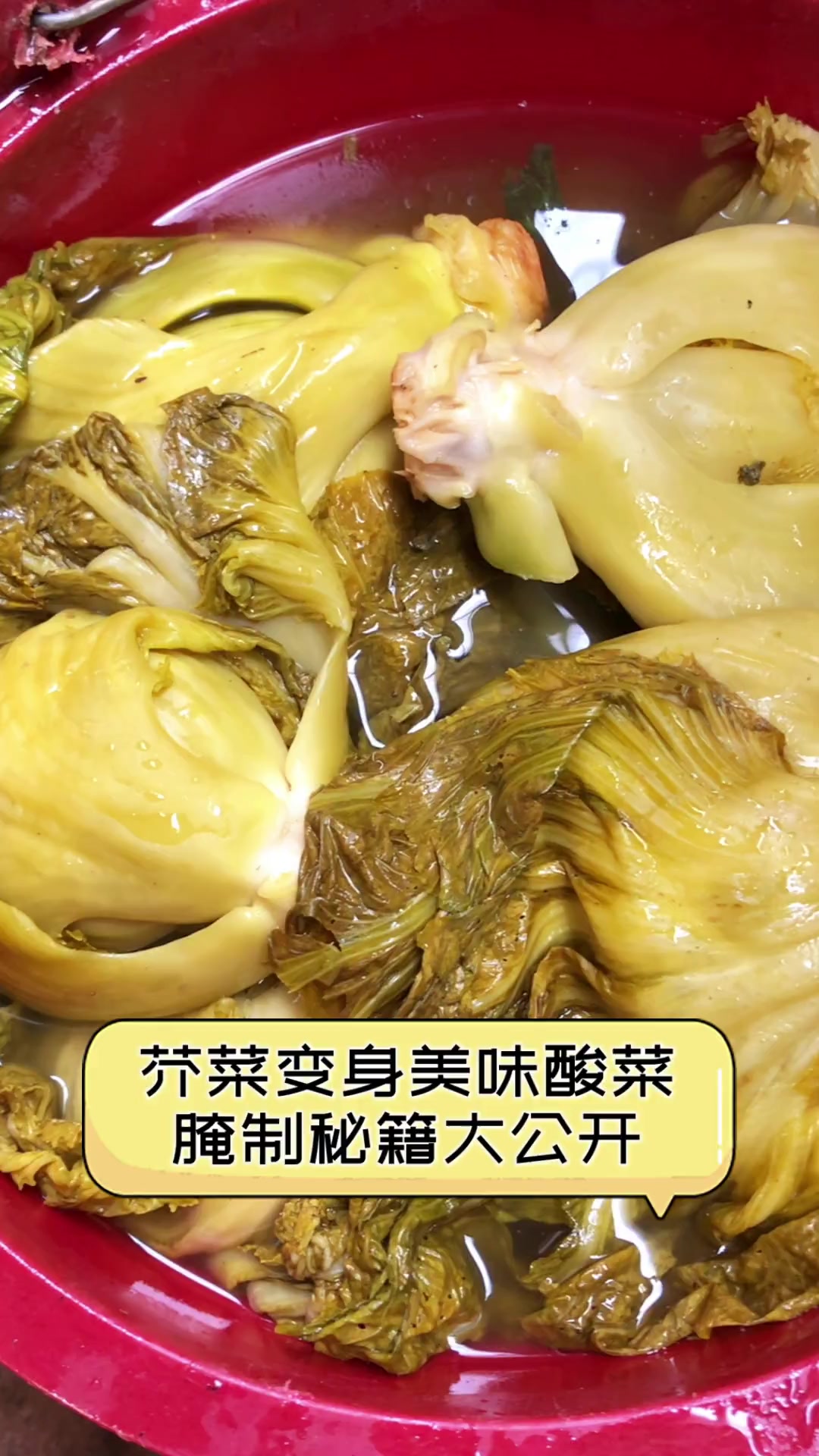 芥菜变身美味酸菜,腌制秘籍大公开!