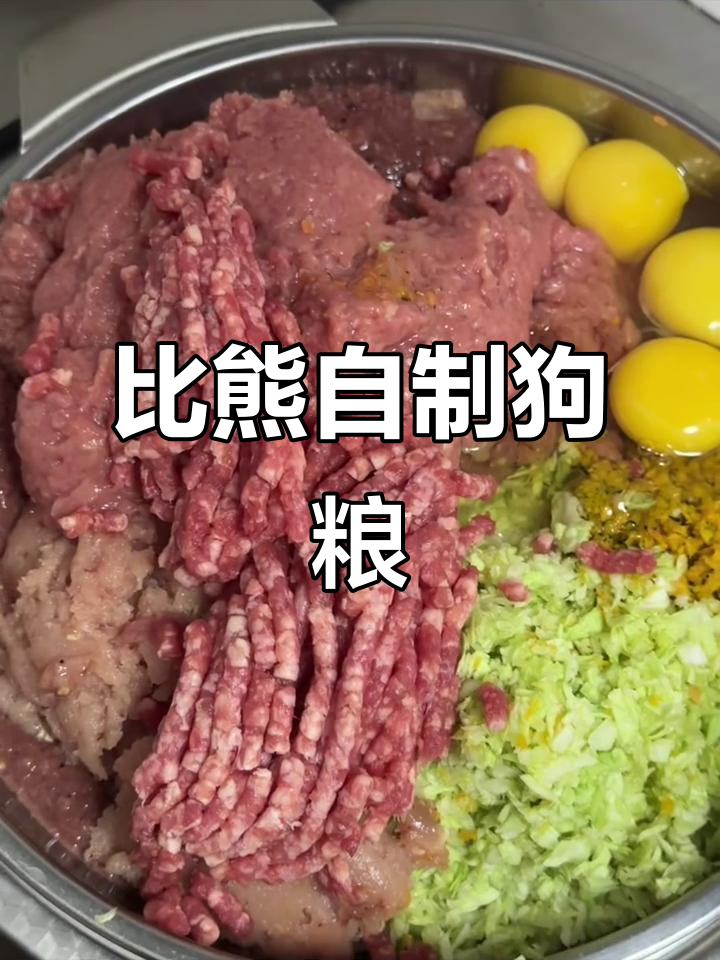 自制比熊狗饭,一周食材全搞定!
