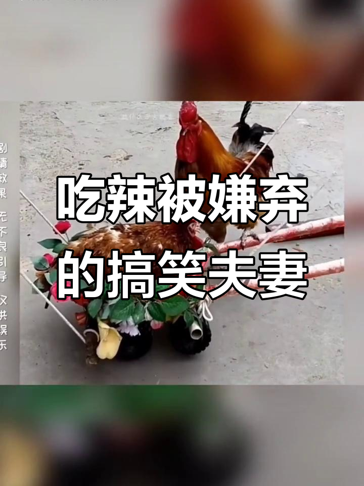 怀孕期间吃麻辣烫,老公的反应太搞笑了!