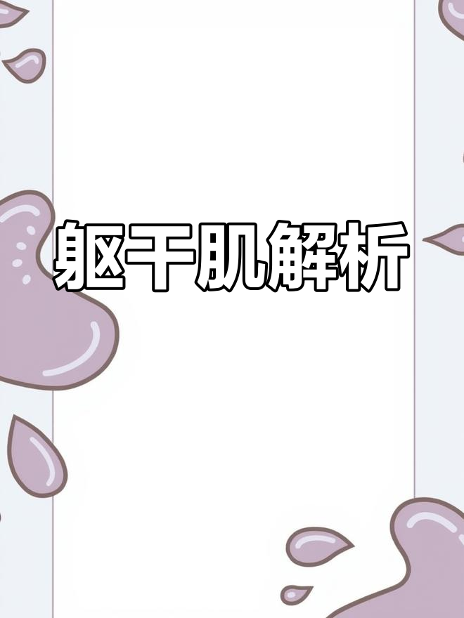 躯干肌肉的种类与功能