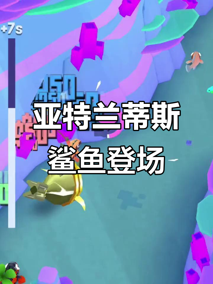 亚特兰蒂斯鲨鱼现身疯狂动物园,冬日奇迹来袭