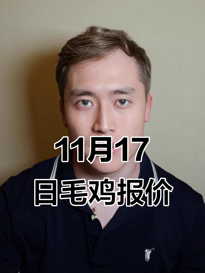 11月17日毛鸡市场行情分析,价格波动与品种解析