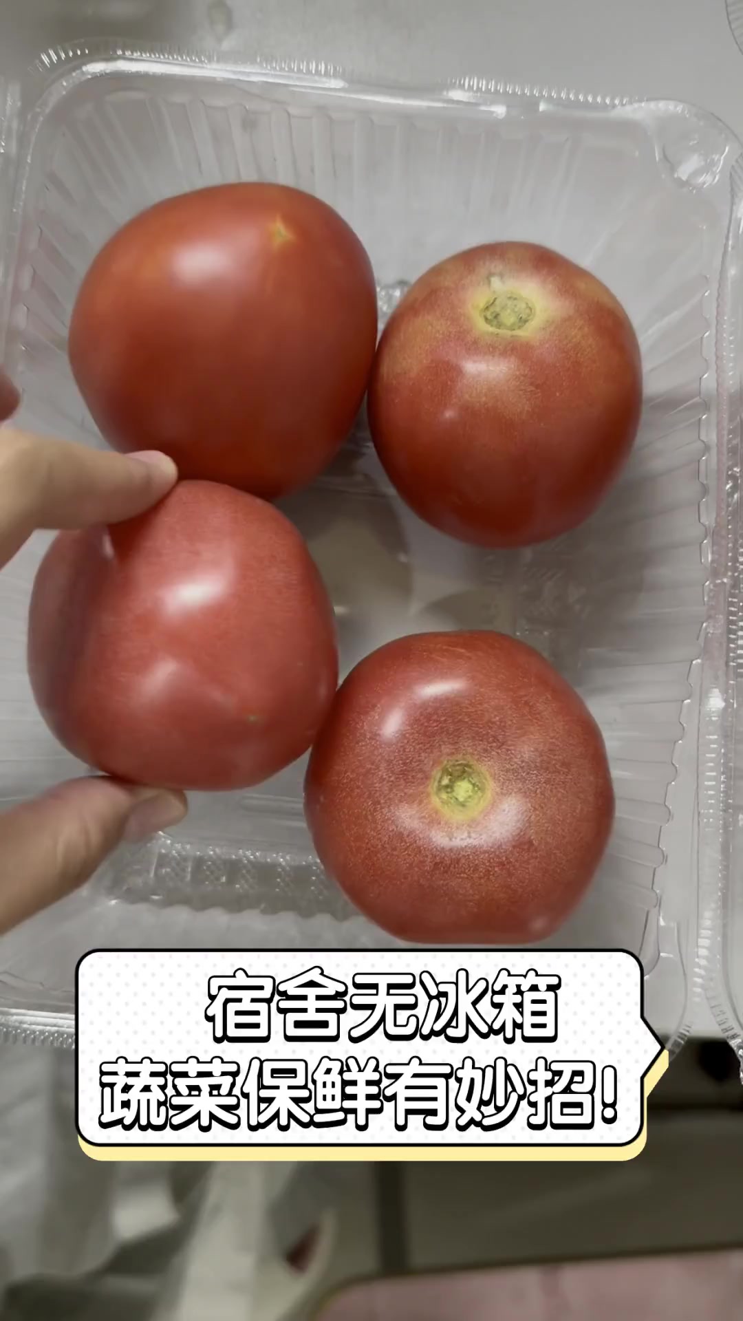 宿舍无冰箱,蔬菜保鲜有妙招!