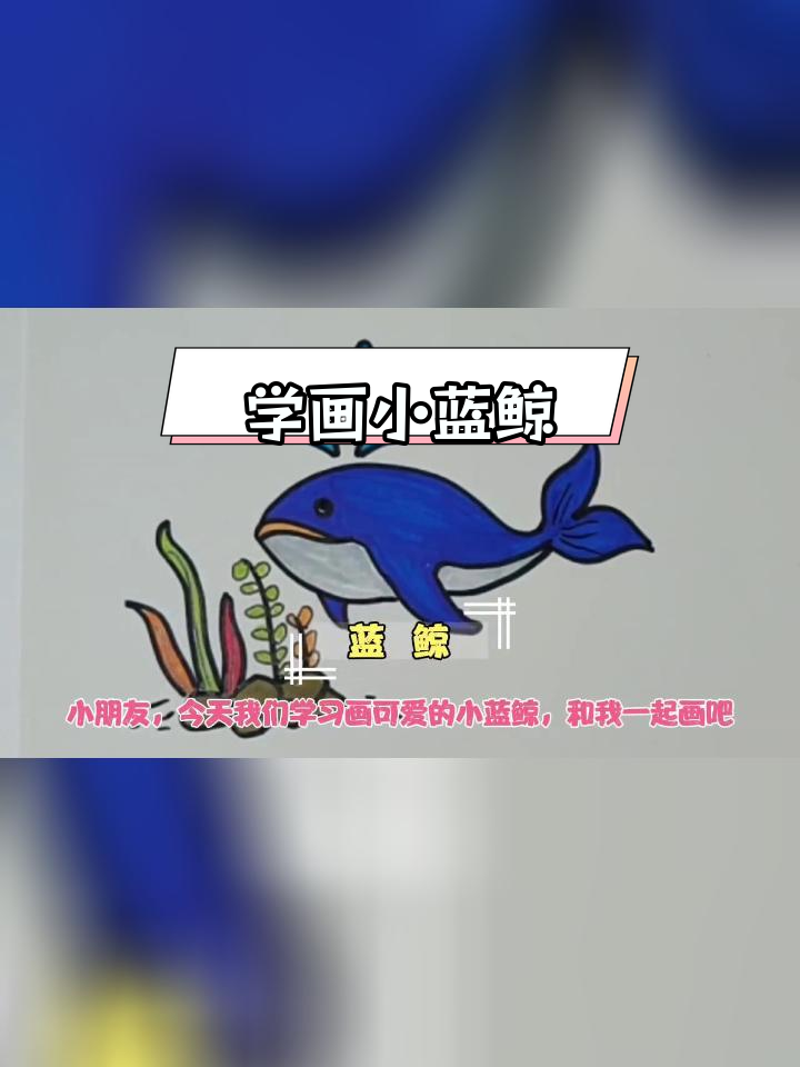 蓝鲸简笔画教程,轻松学会画大海中的萌物