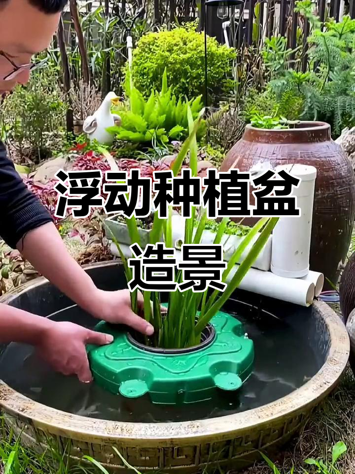 水面漂浮种植盆，打造鱼池假山新景观
