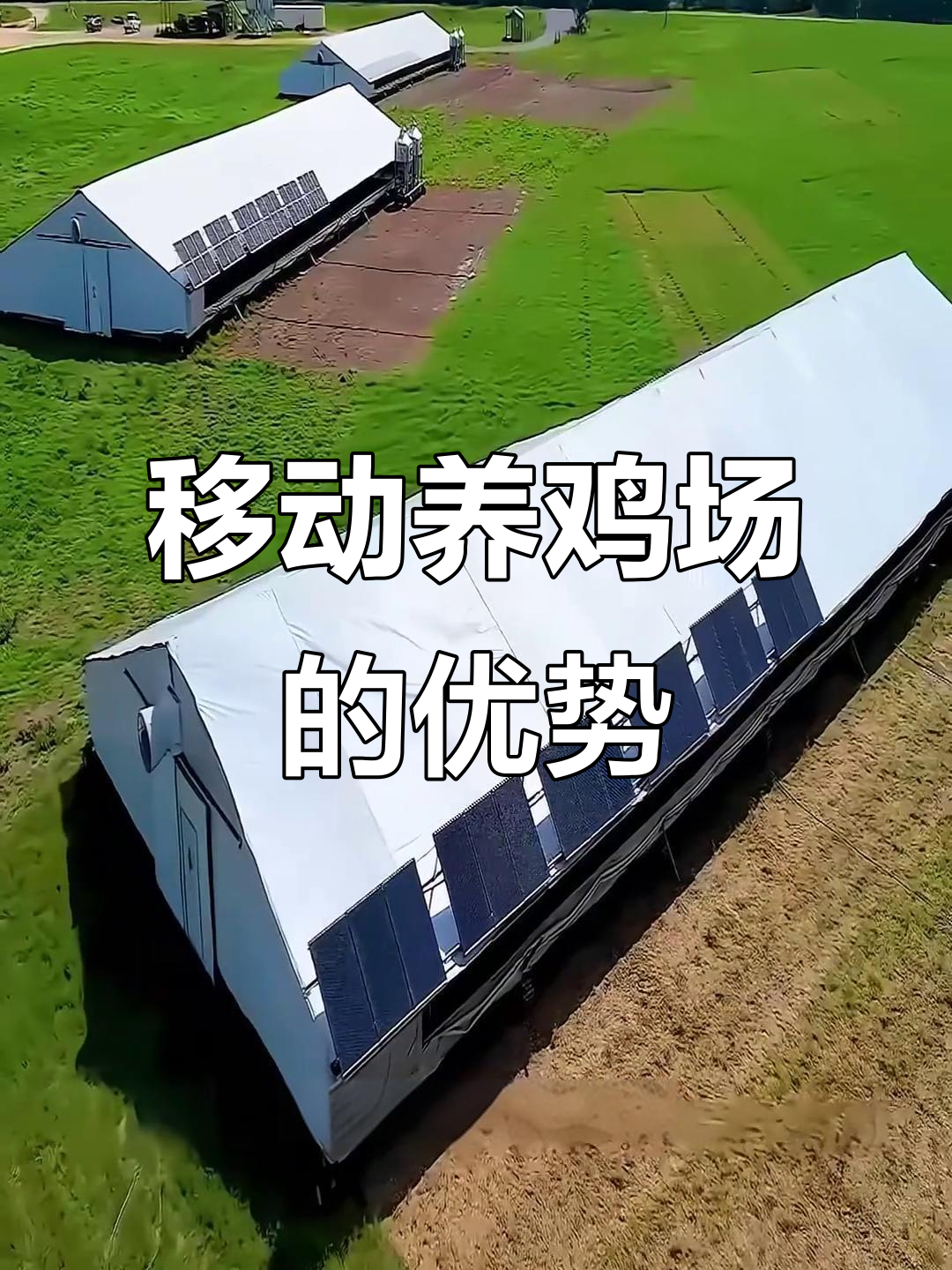 美国移动养鸡场:灵活迁移,生态养殖新模式