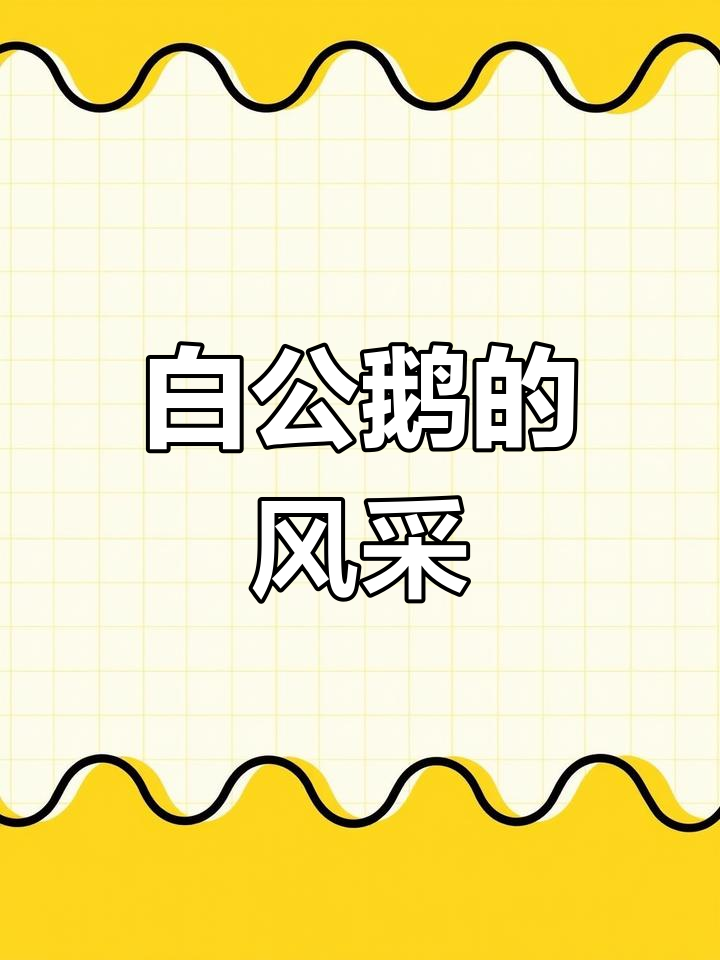 白公鹅的“海军上将”风范,走路都像在巡视