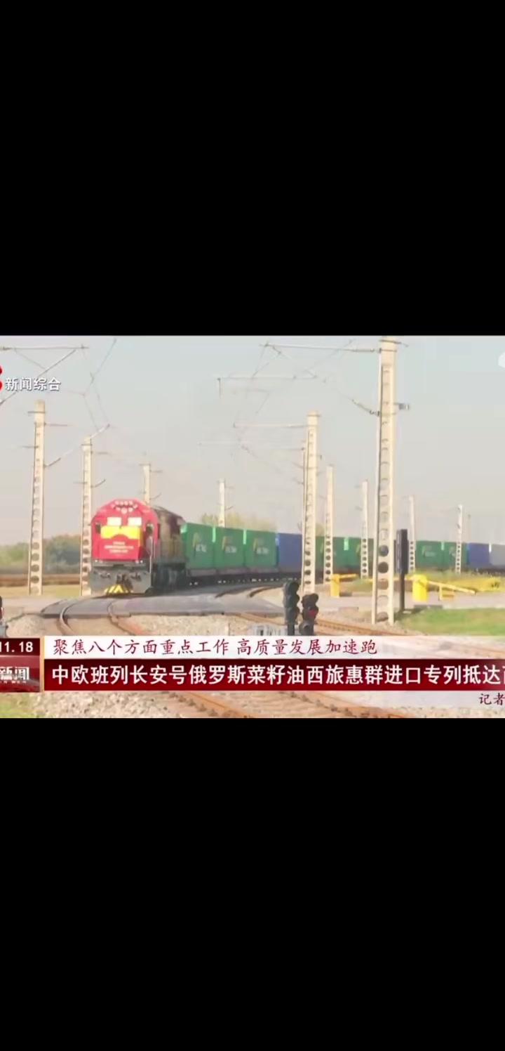 进口菜籽油 食用油