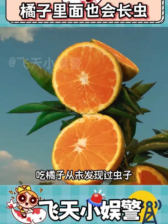橘子,我从未怀疑过你!橘子 万万没想到 细思极恐 水果 素材来源