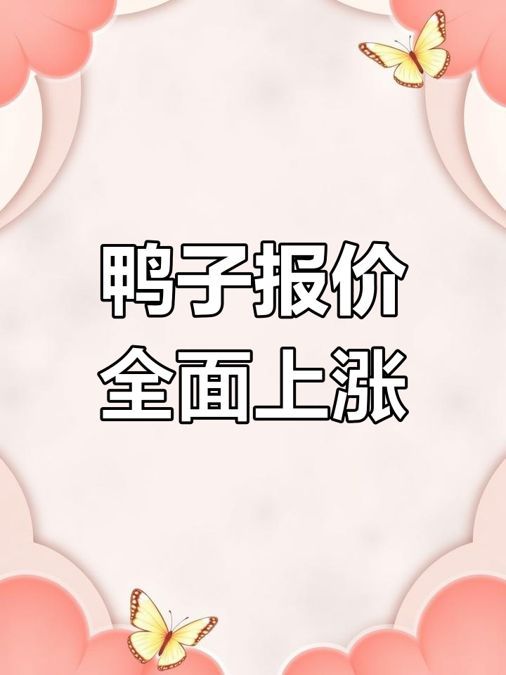 白鸭苗价格大涨,麻鸭、半番稳中有升