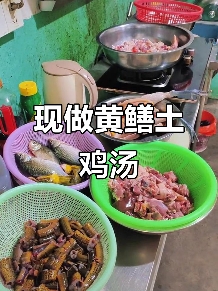 野生黄鳝与老鸭炖汤,现点现做,地道家乡味