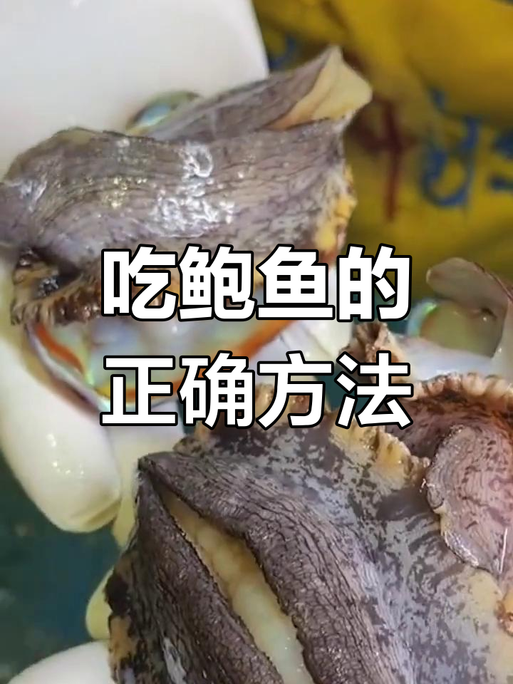 鲍鱼哪些部位能吃?