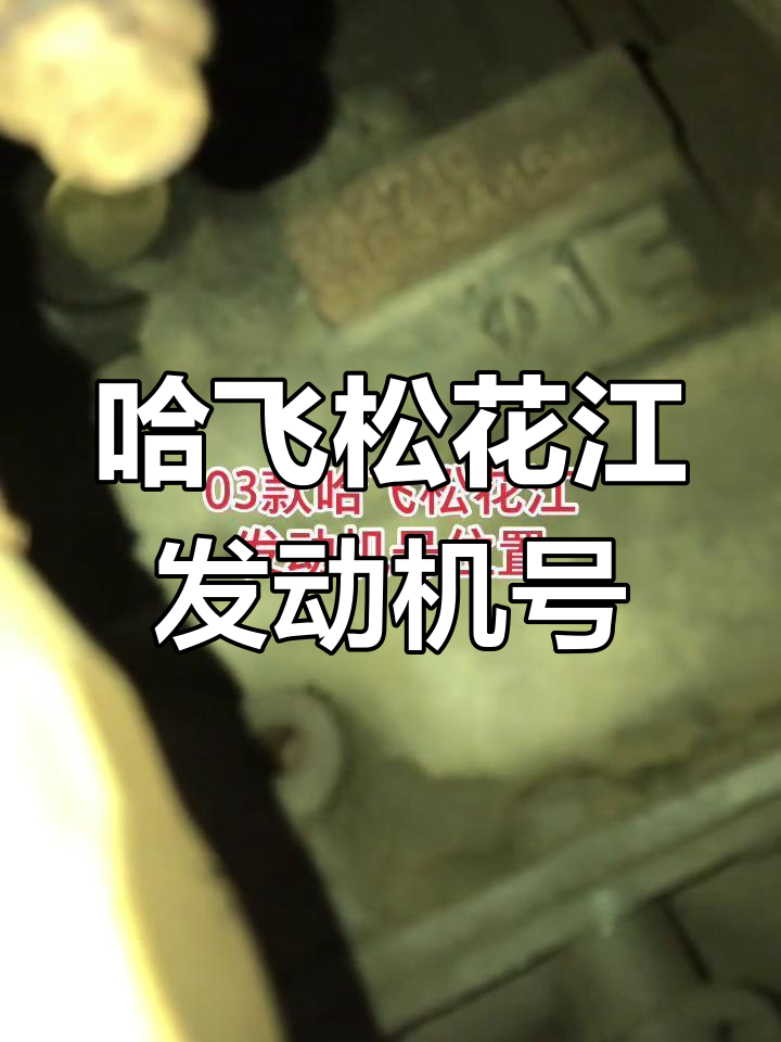 03款哈飞松花江发动机号位置解析