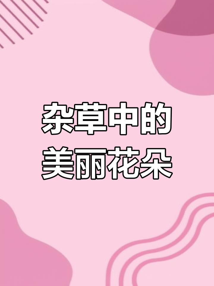 诸葛花与油菜花的美丽交织,杂草也能惊艳世界