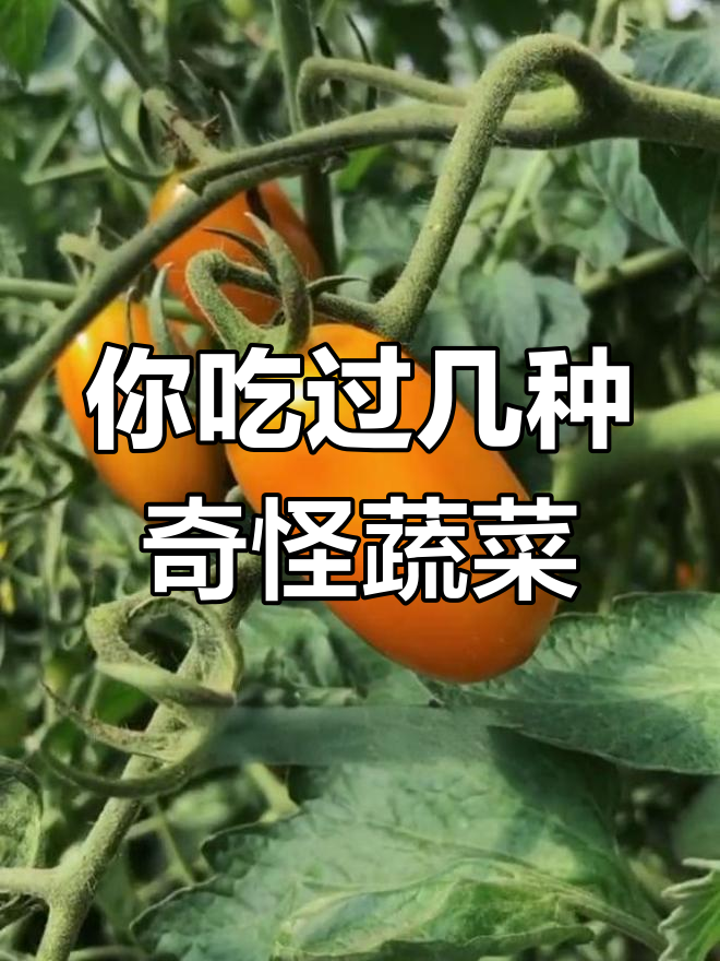 这些蔬菜你吃过几种?看看这些奇特品种,猜对了算我输