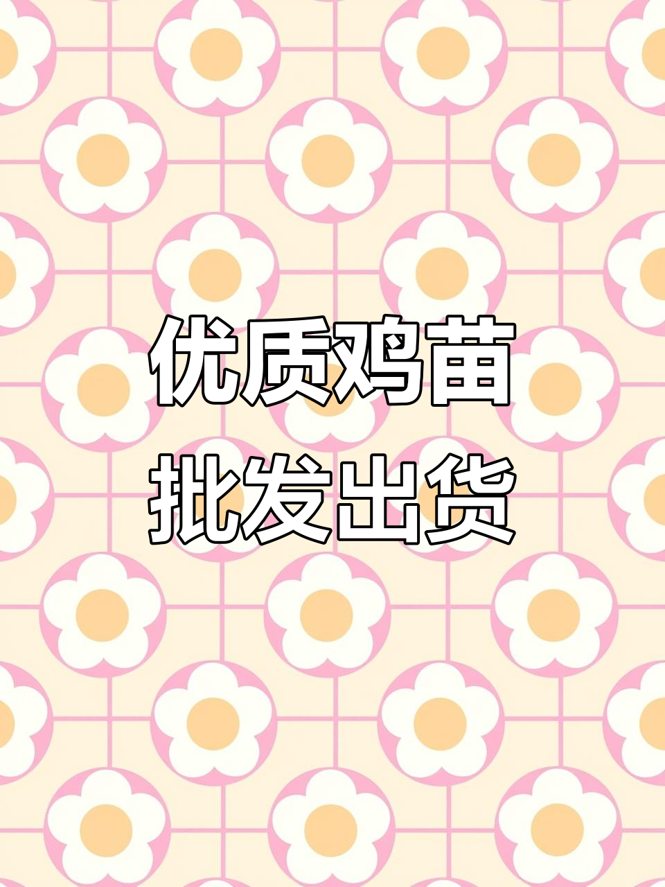 优质鸡苗批发,全国发货,养小鸡必备福利