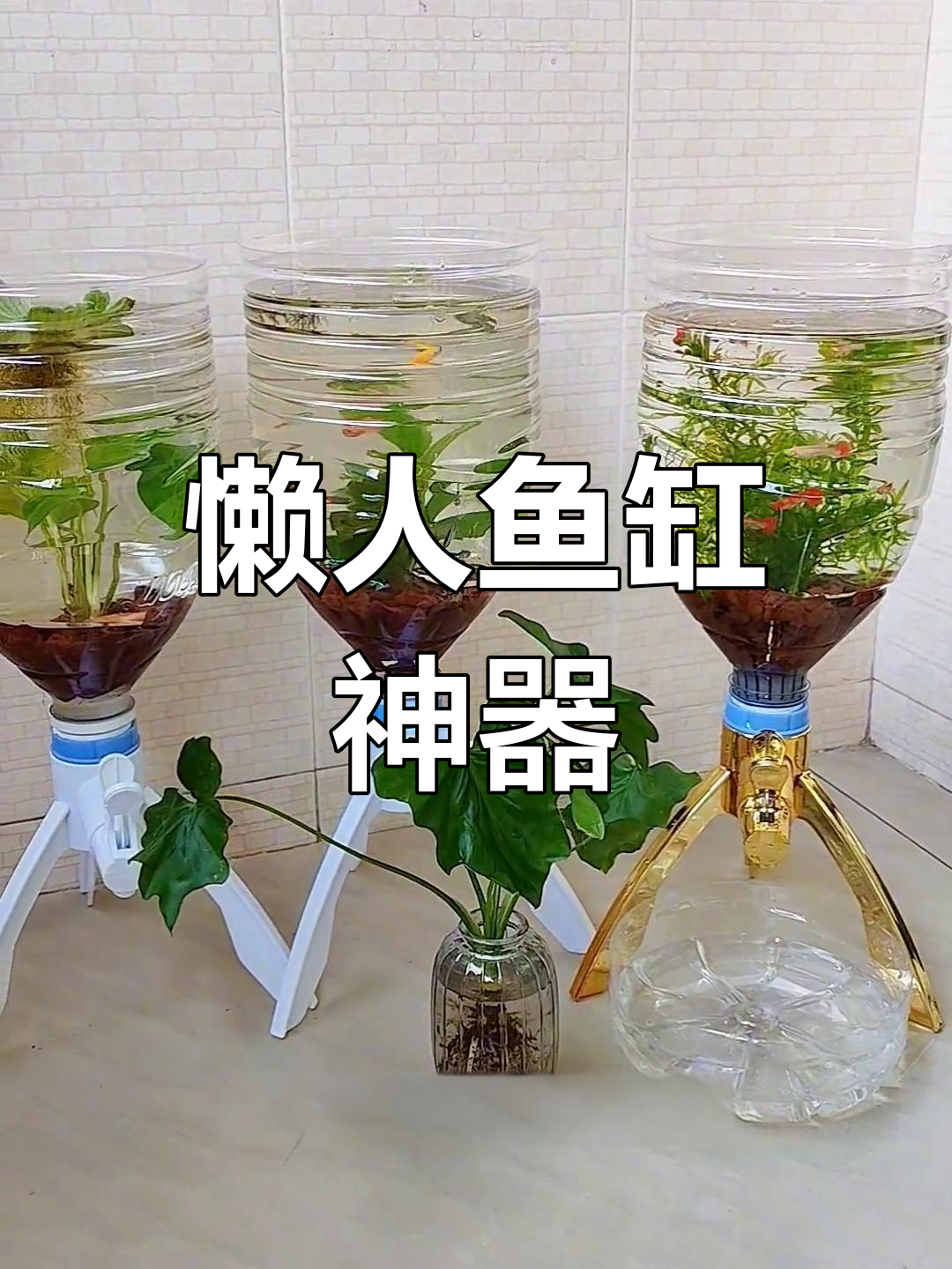 用矿泉桶做鱼缸,一键换水省心又环保!