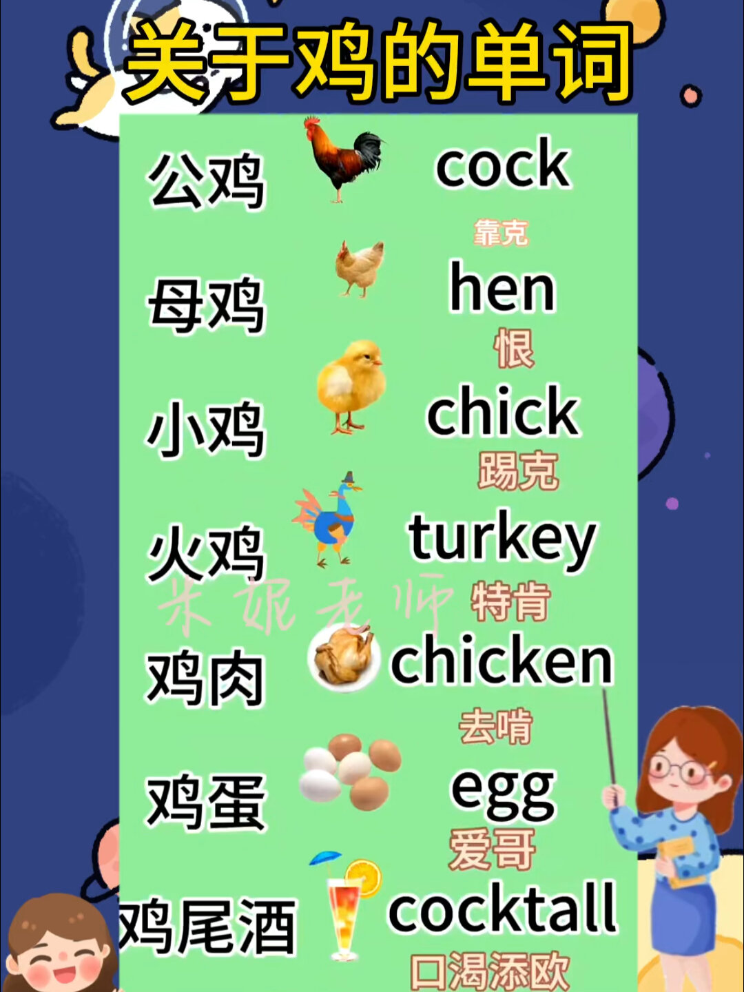 关于鸡的英文单词