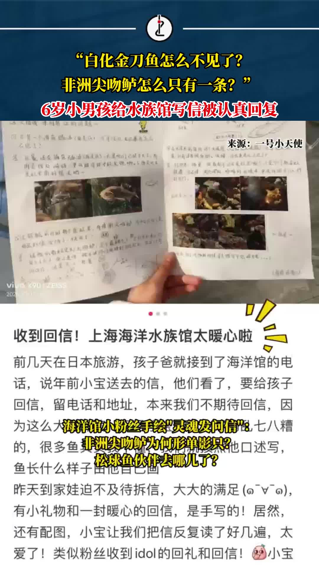 “白化金刀鱼怎么不见了?非洲尖吻鲈怎么只有一条?” 6岁小男孩给水族馆写信被认真回复