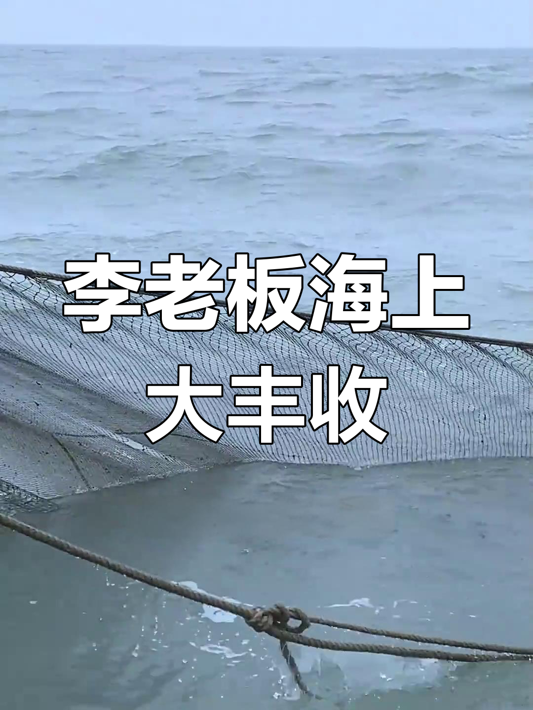 浙江丽水李老板出海捕鱼,渔获满满!黄花鱼、带鱼一网打尽