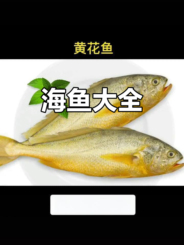 各种海鱼大揭秘:从红木莲到金丝貂,一网打尽!