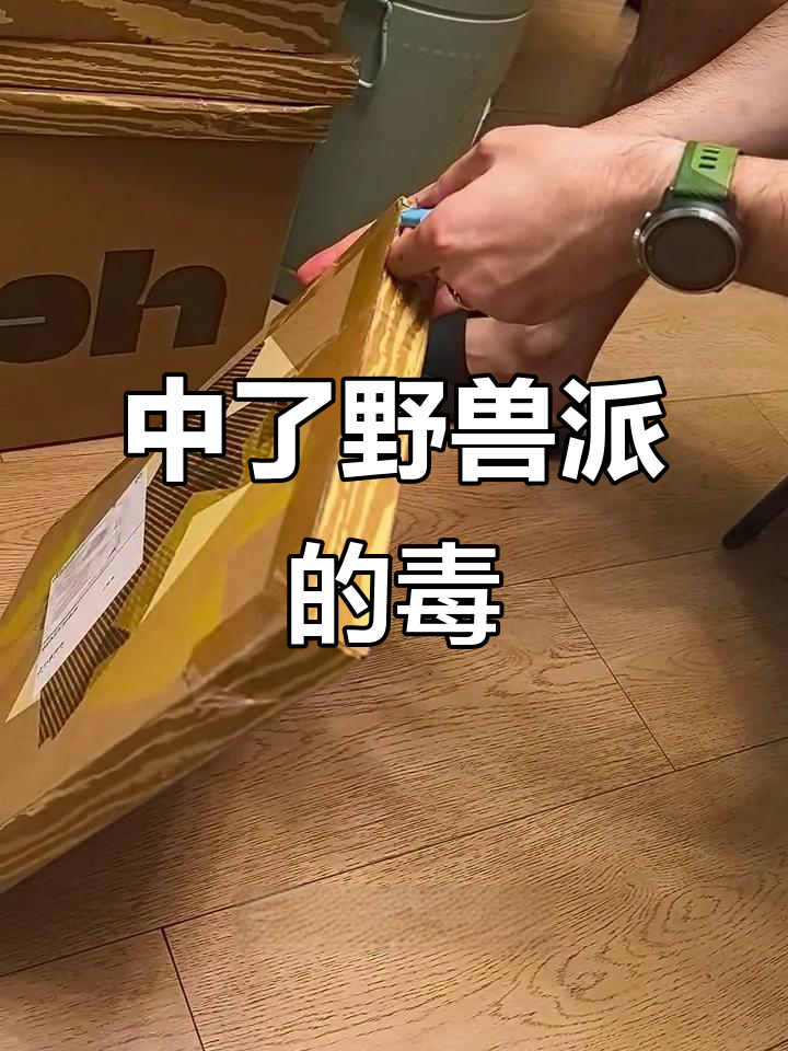 最近迷上野兽派熊猫系列,买了好多新品开箱!