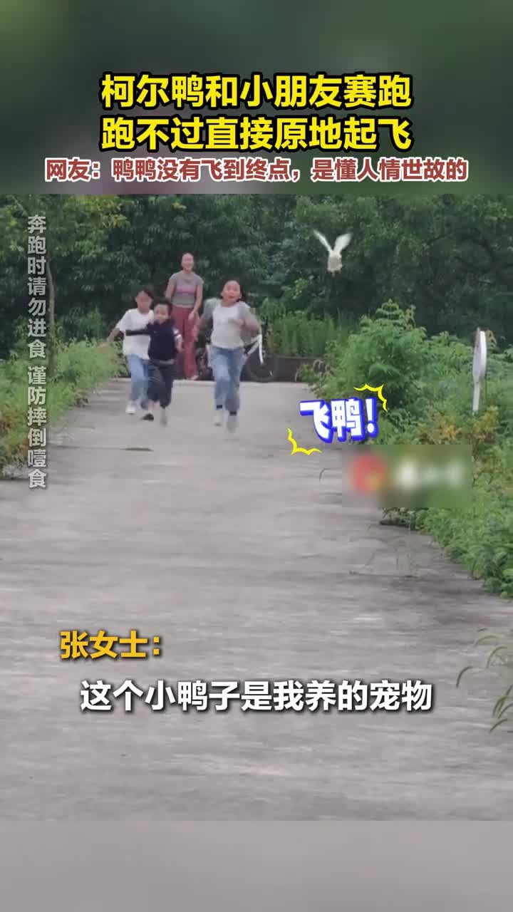 近日,浙江湖州的网友分享柯尔鸭和小朋友们赛跑的视频,鸭鸭跑不过直接开启飞行模式。网友:第一