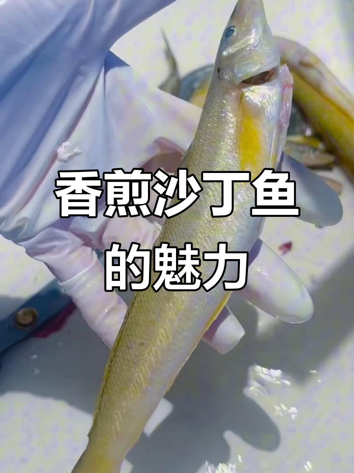 新鲜沙丁鱼的美味秘密，香煎黄沙丁让你惊艳！