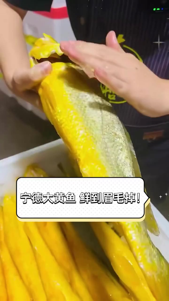 宁德大黄鱼,鲜到眉毛掉!
