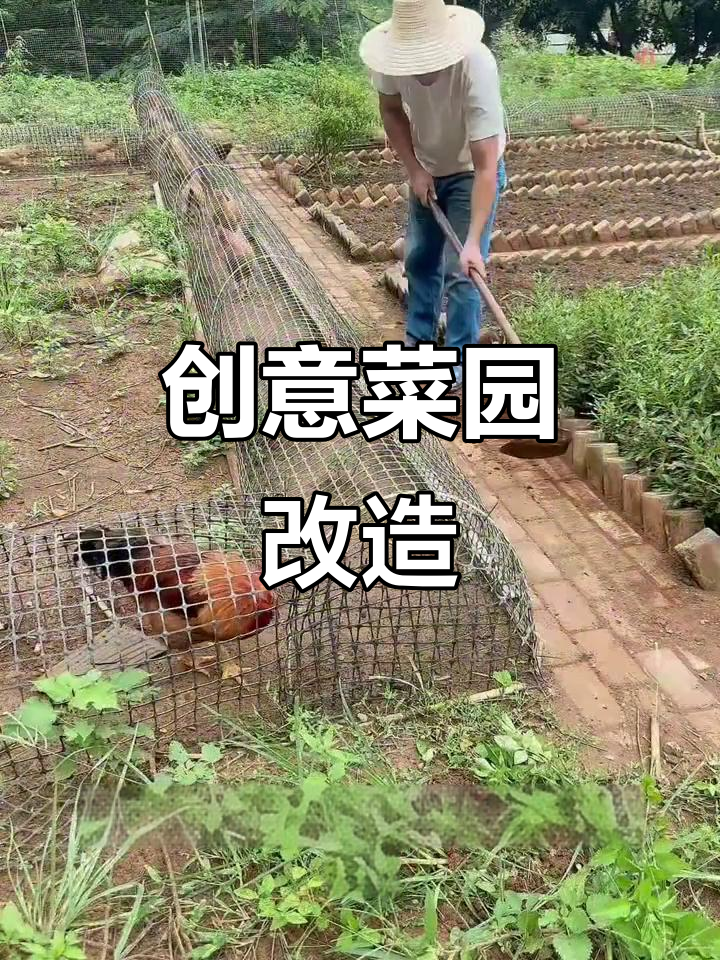 菜园设计大揭秘:从低矮到高大的层次布局,打造完美农场