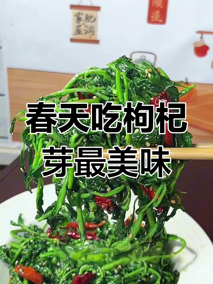 春季枸杞芽凉拌,鲜嫩爽口又开胃