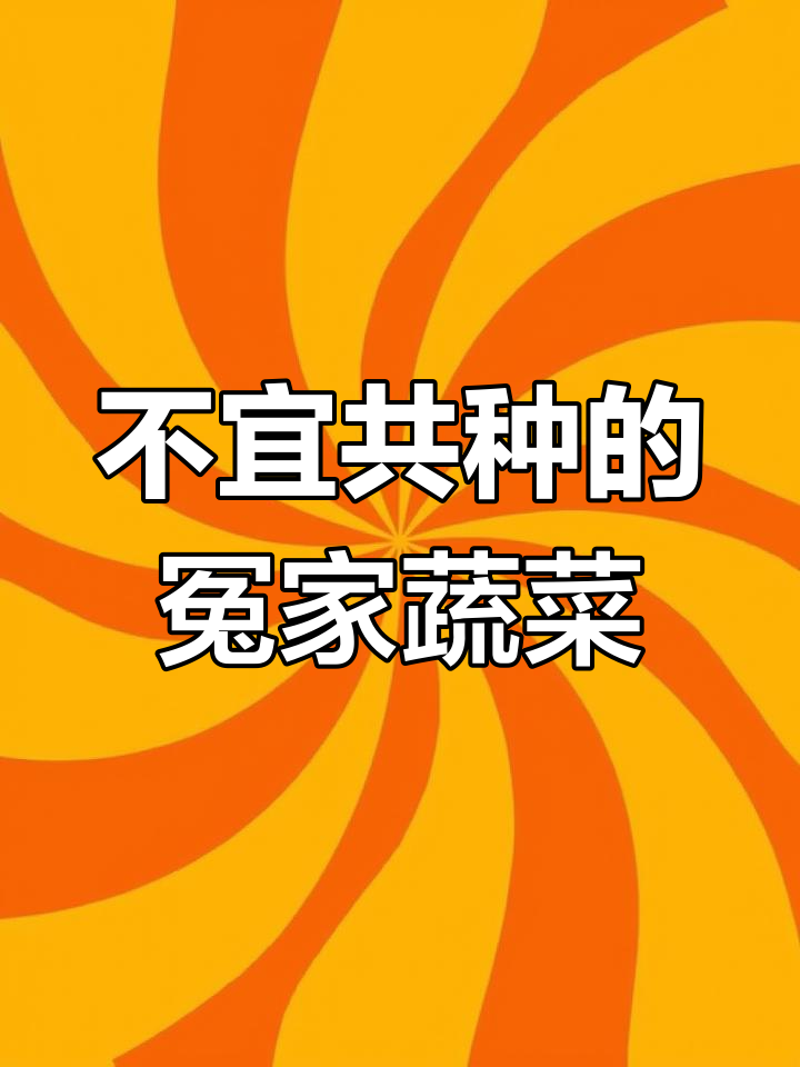 蔬菜种植有禁忌,这些组合不宜同行