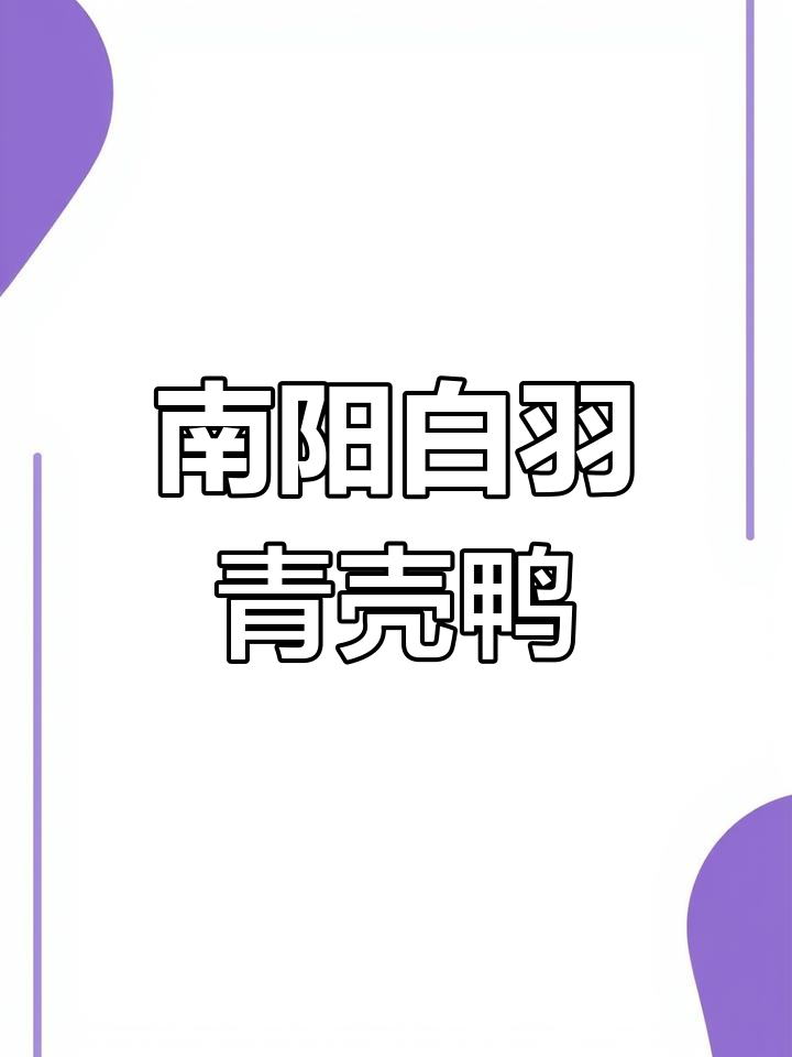 河南南阳安皋镇白羽青壳脱温鸭养殖现场,蛋鸭产业全景展示
