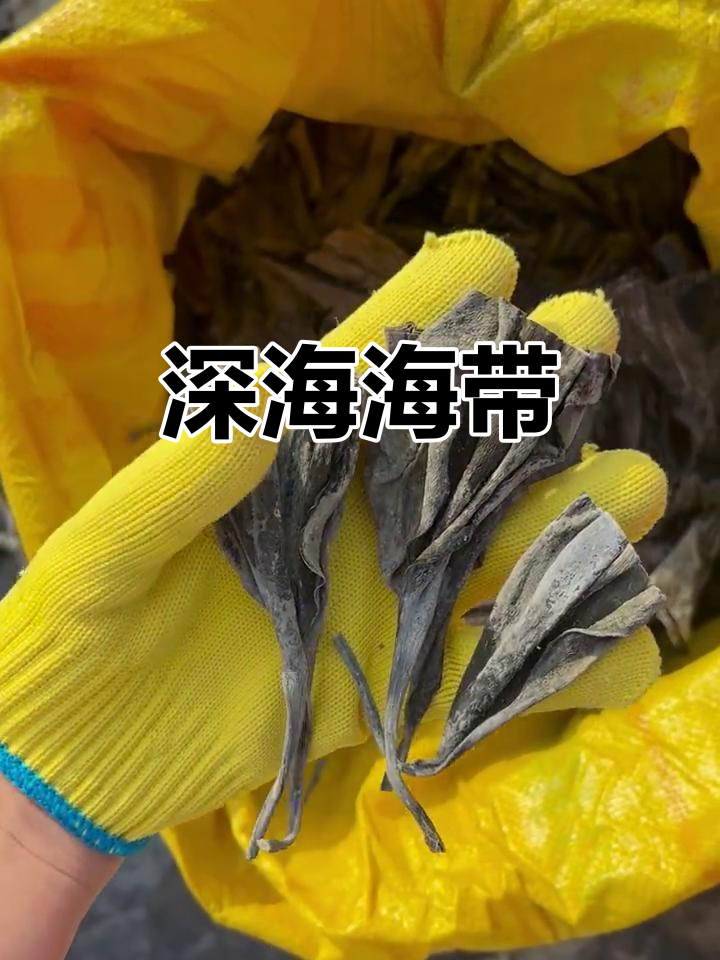 海带干货,深海野生,口感绝佳,营养丰富!