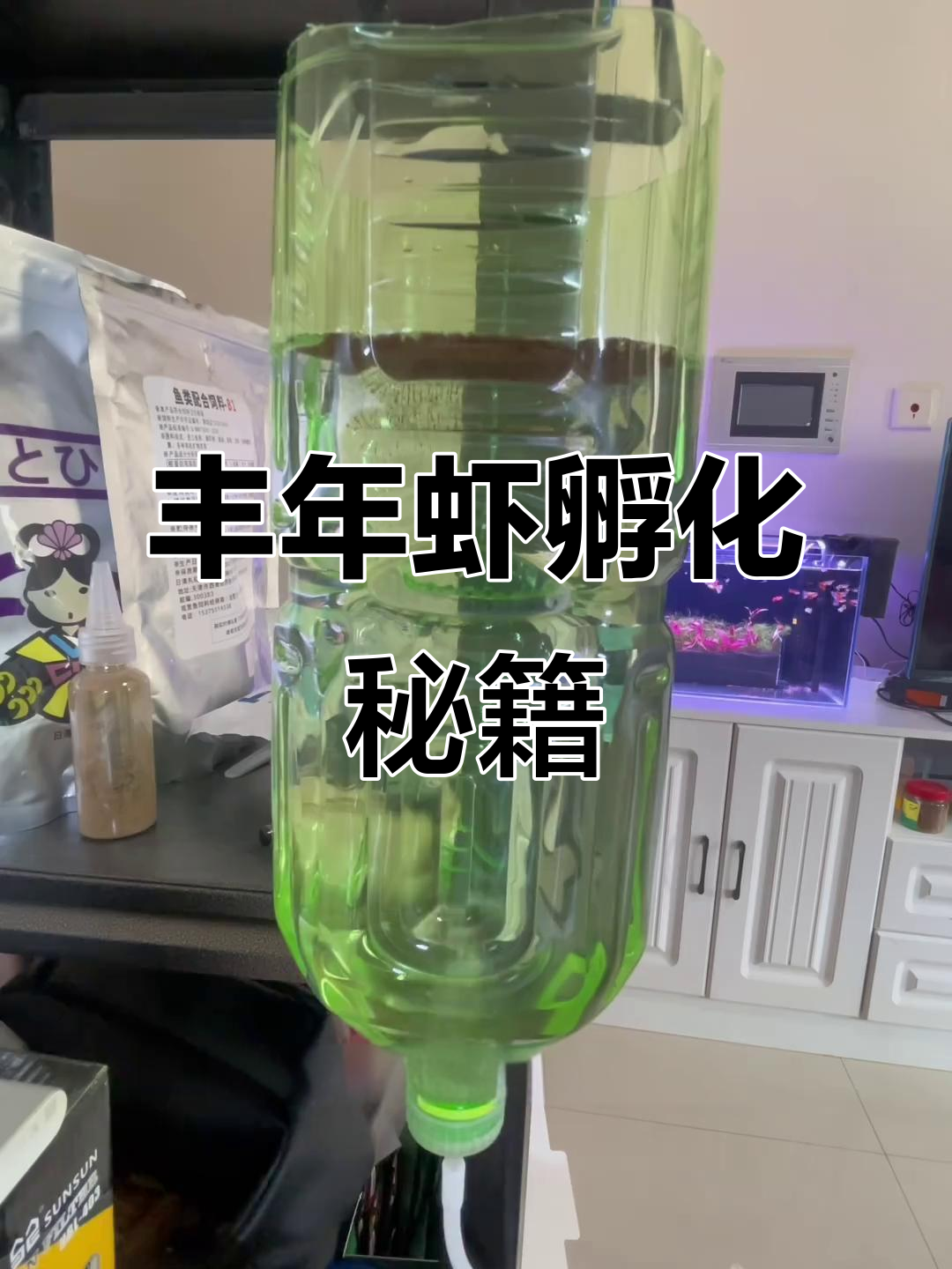 轻松孵化丰年虾，盐水配比全解析