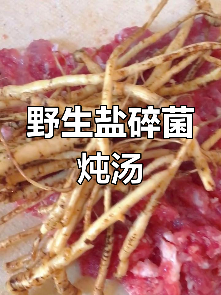 山上挖的野芫荽根,炖肉末香气扑鼻!