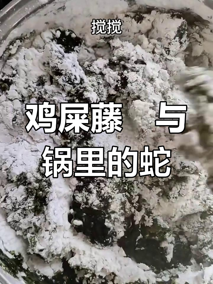 鸡屎藤籺的奇妙之旅:锅里竟然有蛇,QQ弹弹超好吃