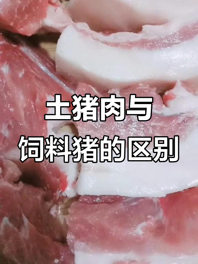 如何区分土猪肉和饲料猪?从喂养时间和肉质特征入手