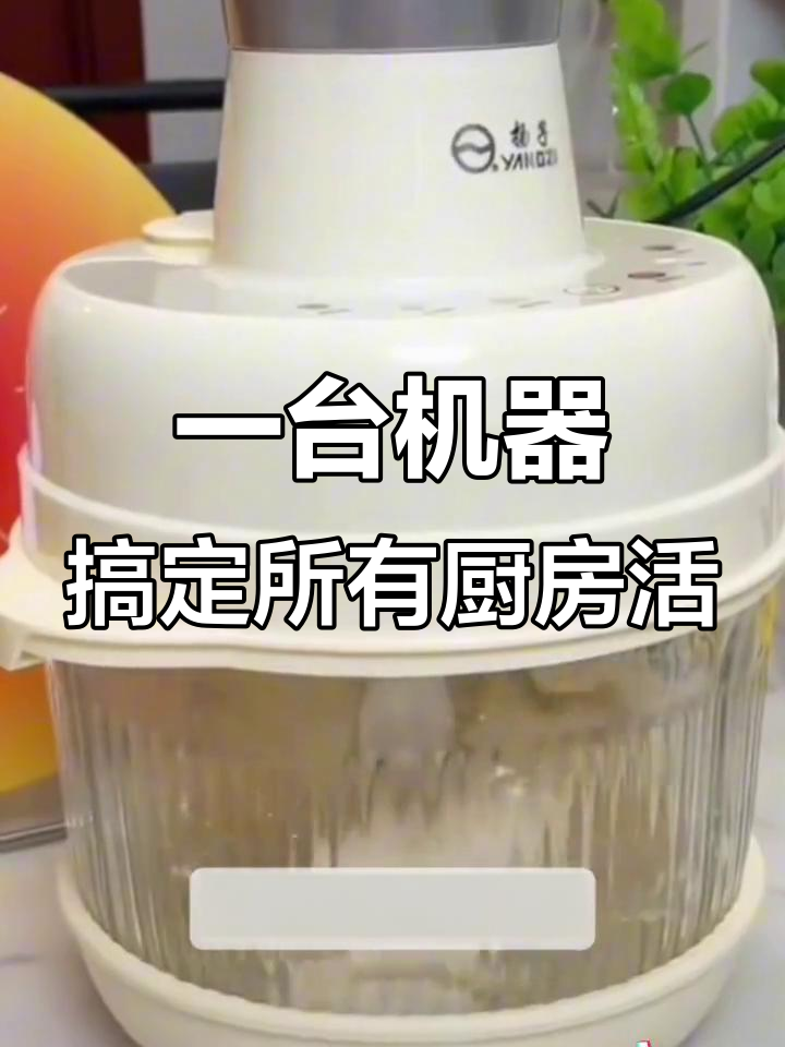 扬子5L多功能绞肉机,和面省力又高效