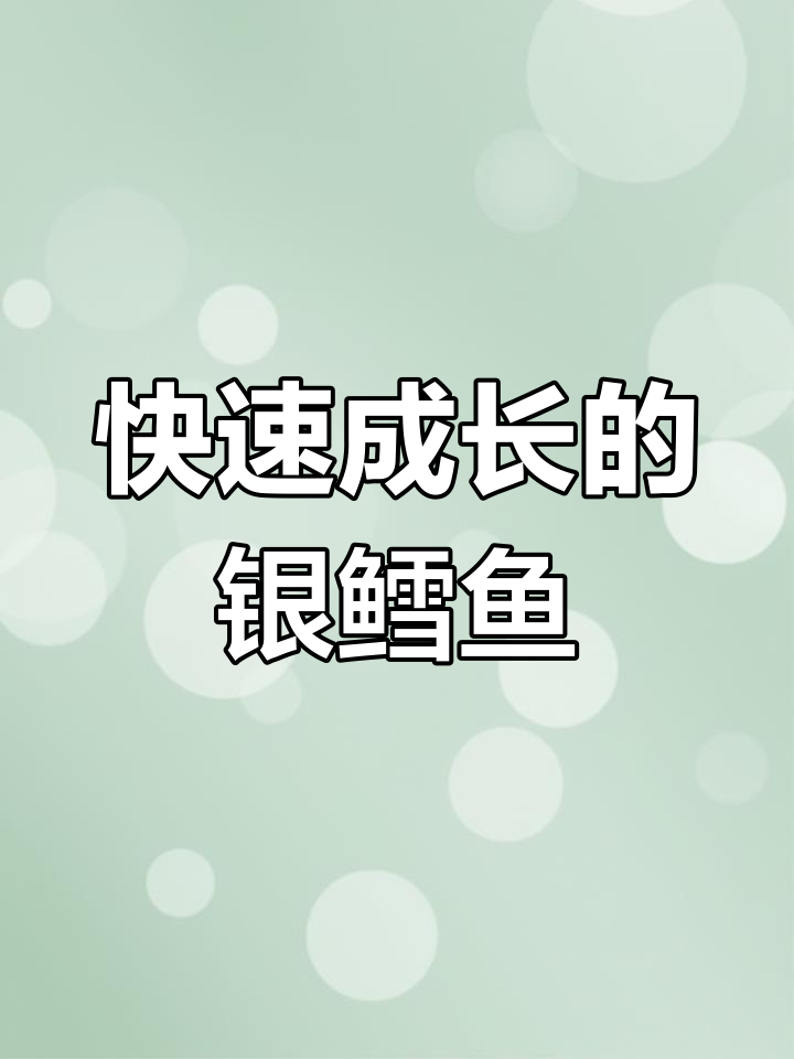 淡水银鳕鱼,生长迅速,肉质鲜美,养殖简单