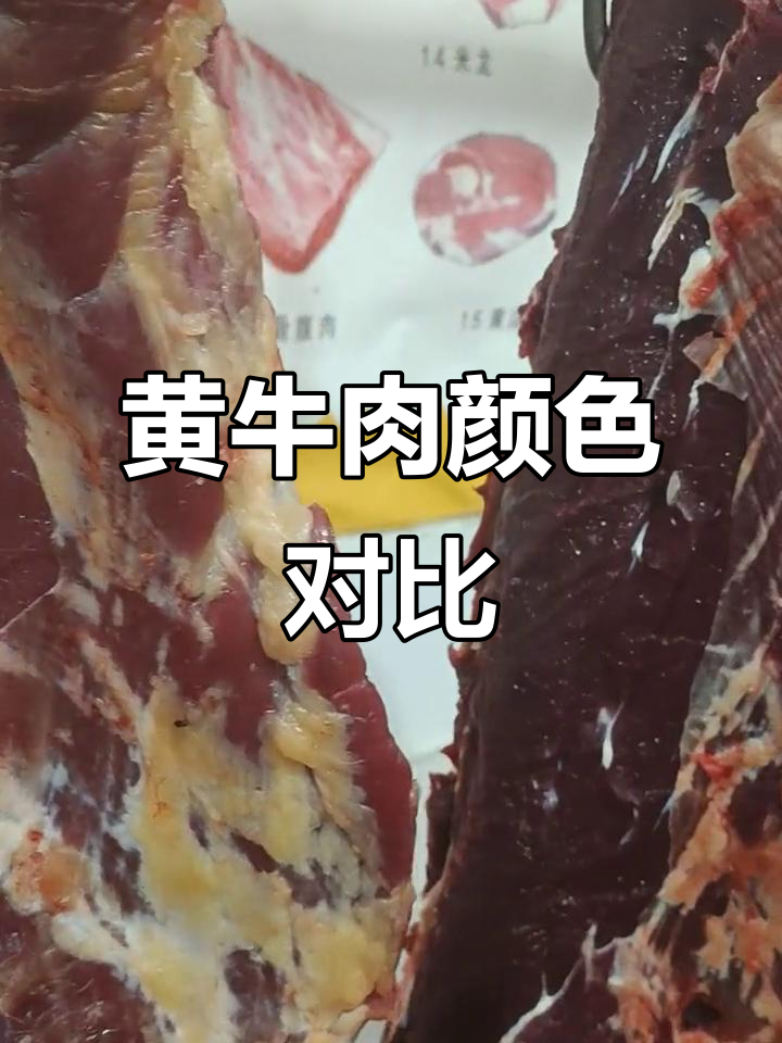 两头黄牛肉颜色差异大,你更喜欢哪一款?