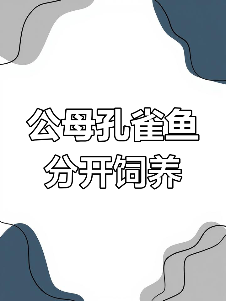 孔雀鱼公母分开养,才能避免早产影响成长