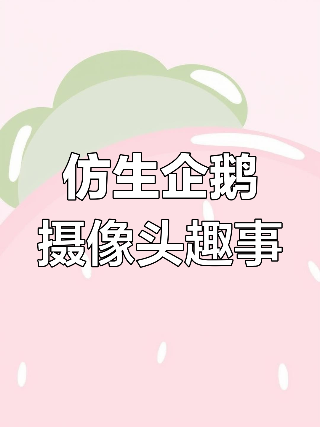 仿生企鹅摄像机误成“头领”,南极科考意外连连