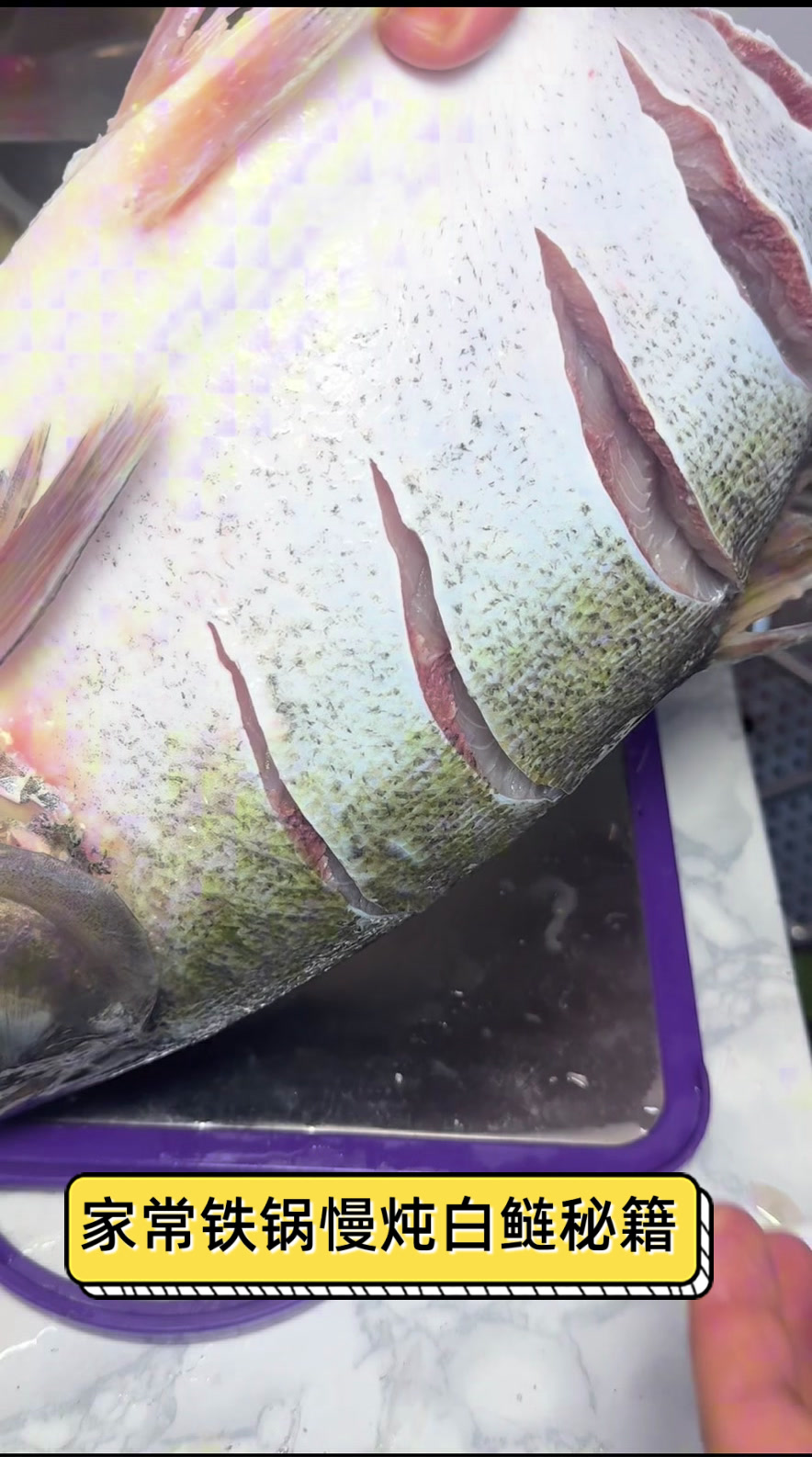 家常铁锅慢炖白鲢秘籍