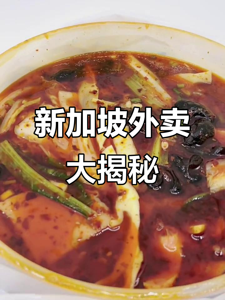 新加坡外卖体验:麻辣烫、牛肉套餐,支付宝微信支付超方便