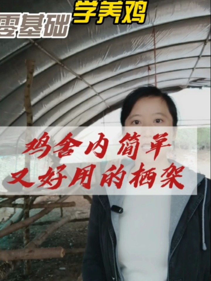 鸡舍内搭建栖架简单又好用